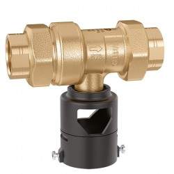 Backflow preventer with...