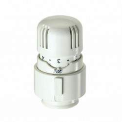 Thermostatic head for...