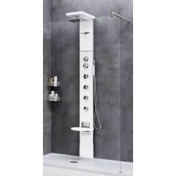 Shower column equipped with...