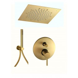 Shower kit in brushed gold...