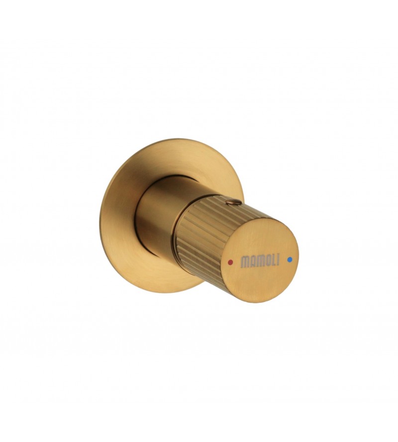 Built-in single-lever shower mixer 1 outlet brushed brass color Mamoli Tuttodunpezzo 37300000002G