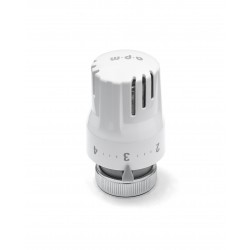 Thermostatic head with...